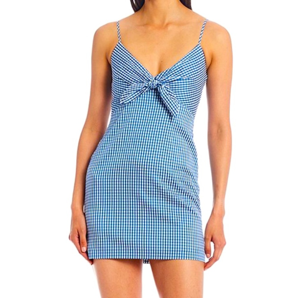 Gianni Bini Blue Gingham Tie Front Mini Dress  4